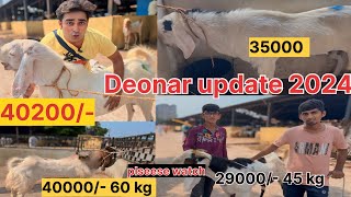 Sunday Deonar Bakra Mandi update 2024 || Bakre ke price bakre ke size ke hisab ||