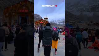 Kedarnath Yatra 2024 #tripyog #kedarnath