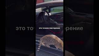 Безумие - это повторение одного и того же действия в надежде на другой результат #trend #shorts #top