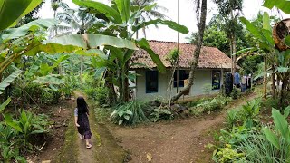 Adem Banget! Suasana Pedesaan Yang Sejuk dan Asri di Kampung Terpencil Yang Dikelilingi Pepohonan