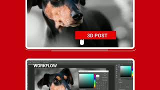 Enhance your profile with 3D post easy creation.