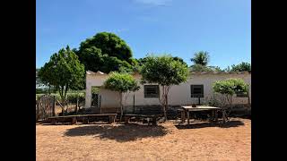 FAZENDA 92 ALQUEIRES EM DIRCE REIS 15 MILHOES MAIS INFORMAÇÃO NO WHATS 17991722742