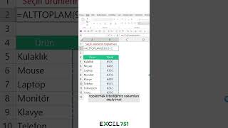 Excel - Seçime Göre Toplamın Otomatik Güncellenmesi | EXCEL 751  #excel751