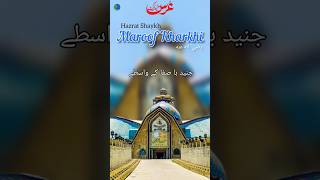 Urs e Hazrat Maroof Kharkhi Status #shortvideo #shortsfeed #shorts #shortsvideo #qadri #islamic