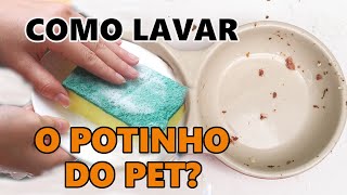 Dica pet: COMO LIMPAR OS POTINHOS E CAMINHA DO PET?