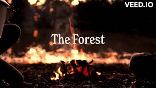 Improve your Small Business in The Forest: Nature Coaching #branding #forest #businessowner #brand