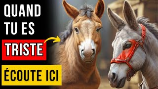 L'HISTOIRE INCROYABLE DE L'ÂNE TRISTE ET DU CHEVAL 🐎 - Conte à Méditer