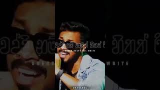 Hinawa ko Song | Shenu kalpa | ALL WRITE  ශෙනු ගේ ආසම එක 🤟❤️