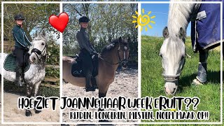 Hoe ziet JOANNE haar week er uit met Popeye en Charmeur?🦄🧡🐴🗓 #Weekvlog  |Epplejeck