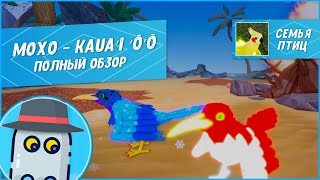 🐤Мохо Полный Обзор 2023 в игре Семья Птиц Роблокс  🐤 Roblox Feather Family Kauaʻi ʻōʻō Full Review ✨