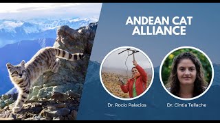 WCN Fall Expo 2021 | Andean Cat Alliance