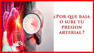 ✅ ¿Porque BAJA o SUBE tu PRESION ARTERIAL ❤️| ¿Que y cómo se modifica la PRESION ARTERIAL  ❤️| 2021