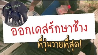 หมอช้างโดนเด็กช้างป่วน! | หมอโบว์ หมอตัวเล็กกับคนไข้ตัวใหญ่