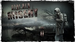 S.T.A.L.K.E.R MISERY 2.1.1 - Серия 3 [Меткие Наёмники]