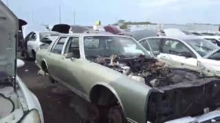 1985 Chevy Caprice sedan at Stepp's U-Pull-It junkyard in Clearwater, FL