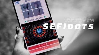 What are SEFIdots? With Kaj and Loran