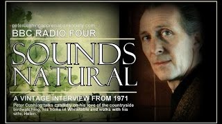 Peter Cushing Sounds Natural Interview (1971)