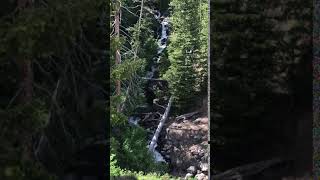 Waterfall near the East Yellowstone Entrance