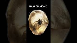 Real Raw Diamond ex