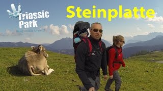 Summer in Waidring Steinplatte - GoPro