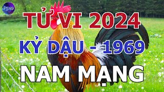 Tử Vi Nam Mạng Kỷ Dậu 1969 Trong Năm 2024 | Phong Thủy Hoàng Đạo