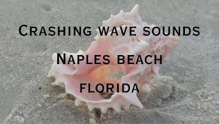 Beach wave sounds from the Gulf of Mexico - Naples Florida #floridabeaches #wavesounds #naturesounds