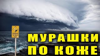 Весь мир узнал невиданное! Рано или поздно ЭТО случилось бы | Док фильм