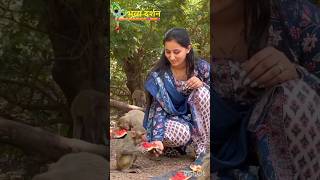 ।।बन्दर ने क्या कर दिया देखो।।##bhajan ##hindu hei ham sorts#movie #song##