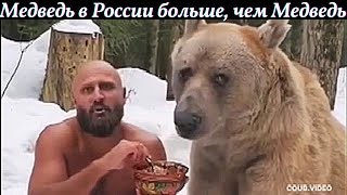 Русские Медведи | Приколы | Юмор | Ржач