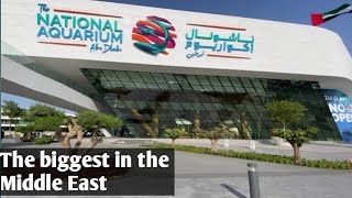 The National Aquarium Abu Dhabi /National aquarium abu Dhabi tickets prices