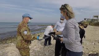 UNIFIL peacekeepers participate in shoreline cleanup