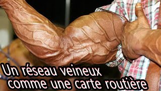 Vascularisation Extrême 🔥 Motivation pour la musculation - FRANK MCGRATH