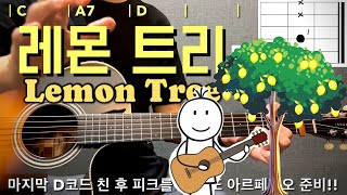 Lemon Tree 🍋🌳 기타 쉬운 코드, 주법 완벽 강좌 (Fools Garden) / 레몬트리 통기타