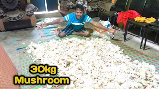 Mushroom 30 Kg harvest | Jangle bamboo Mushroom