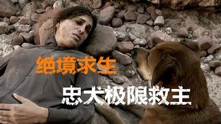 忠犬极限救主：地表最强女运动员的绝境求生【寰球大百科380】