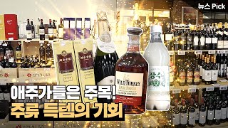 도파민이 싹~도는 이마트 최대 주류행사!🍷🥂🥃🍶 | SCS뉴스Pick