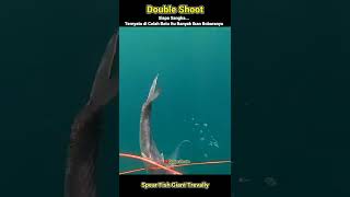 Amazing Catch | Double Shot Giant Trevally