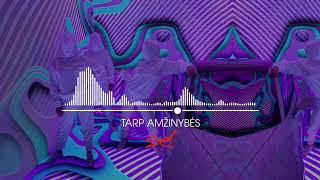 SEL - Tarp Amžinybės [Oficialus Audio]