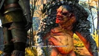 Witcher 3: Portion of the Deadly Plot (finding the missing cobbler).