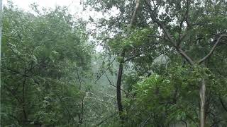 Cyclone Vardah at IIT Madras 7