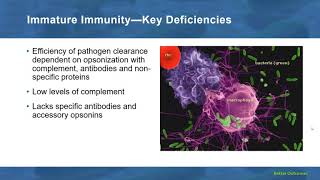 SAXE   Neonate Pneumonia