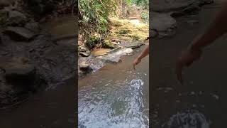 Mandi Bareng Teman di Sungai #fyp #mandi #sungai