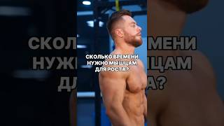 Сколько времени нужно мышцам для роста?