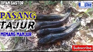 pasang TAJUR di spot baru yang naik BABON semua//spot pancing Merauke papua