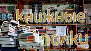 мои КНИЖНЫЕ ПОЛКИ| расставляю новые книги