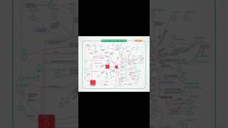 important organic reactions,