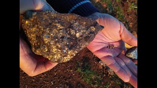 Mostrando pepitas de ouro natural, e ouro na pedra - Garimpando o Brasil