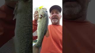 #CRAZY BASS LURE