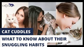 Cat Cuddles | what to know about your cat's snuggling habits |