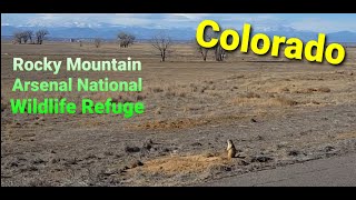 Rocky Mountain Arsenal National Wildlife Refuge, Commerce City, Colorado. (2) 落磯山國家野生生物保護區，科羅拉多。